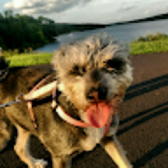 Meet your Posher, Carole - Picture 1 of 1